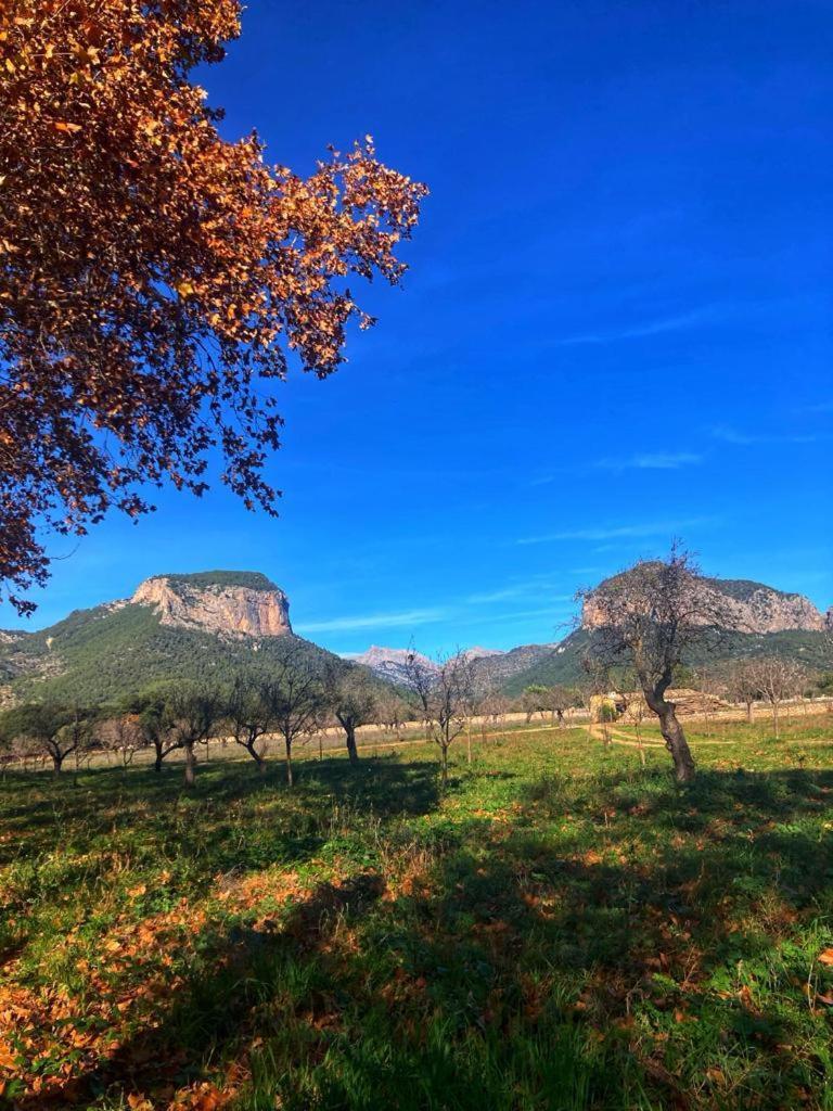 Son Ribes Villa Alaró Eksteriør billede